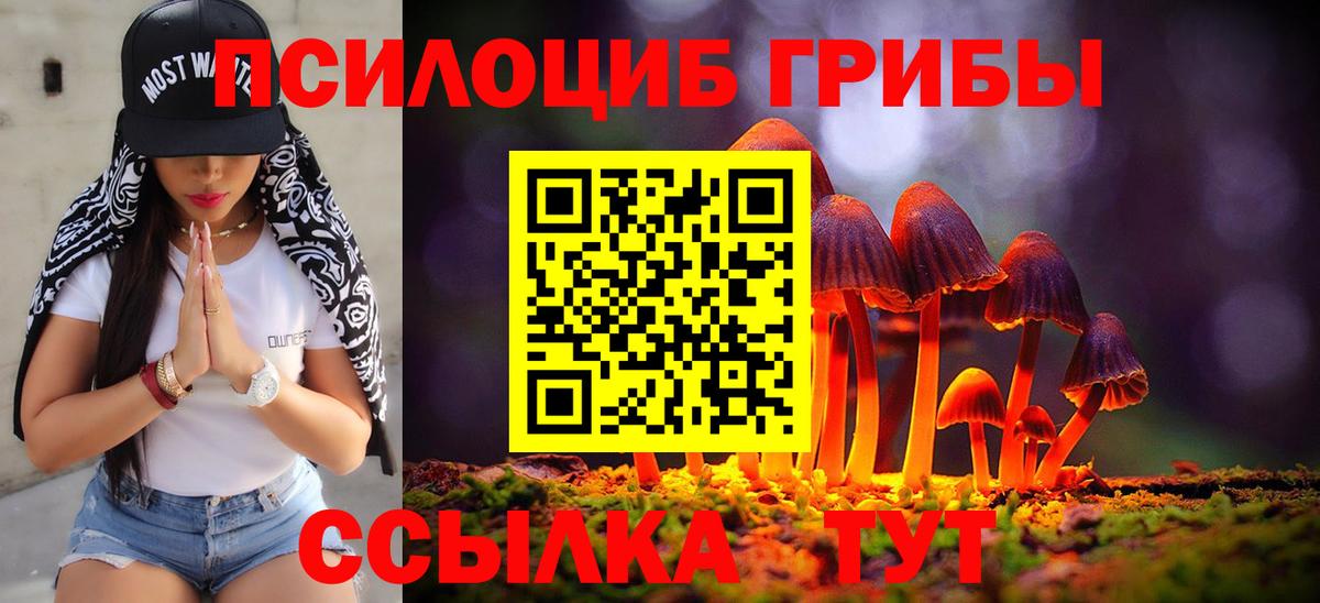 Галлюциногенные грибы Magic Shrooms  Вход с VPN  Галлюциногенные грибы Cubensis  Кохма 