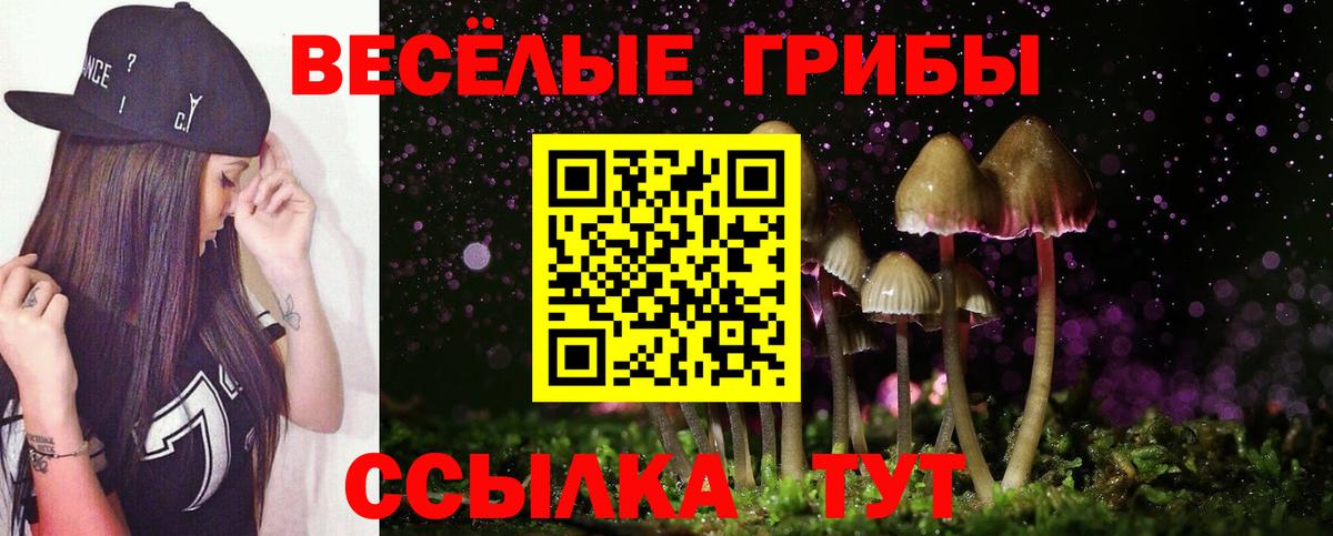 Галлюциногенные грибы Magic Shrooms Кохма